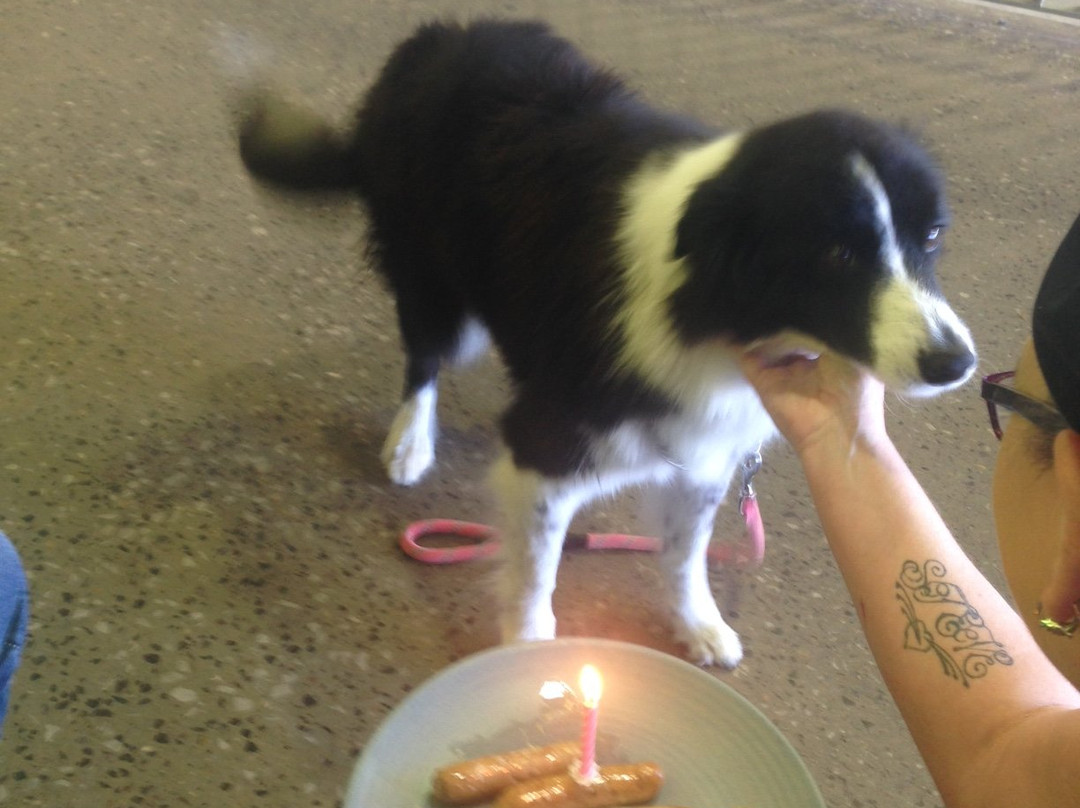 Orana Mall-达博必去景点