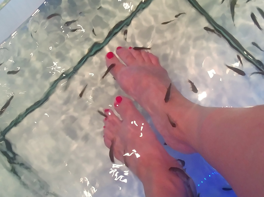 O' Fish Spa景点图片