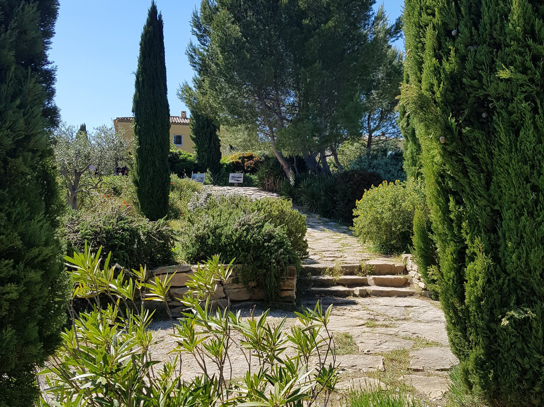Terrain des Peintres (Painters  Park)景点图片