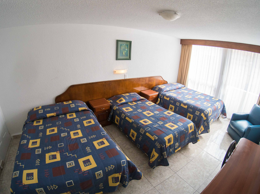 Hotel Qualitel Plus主图