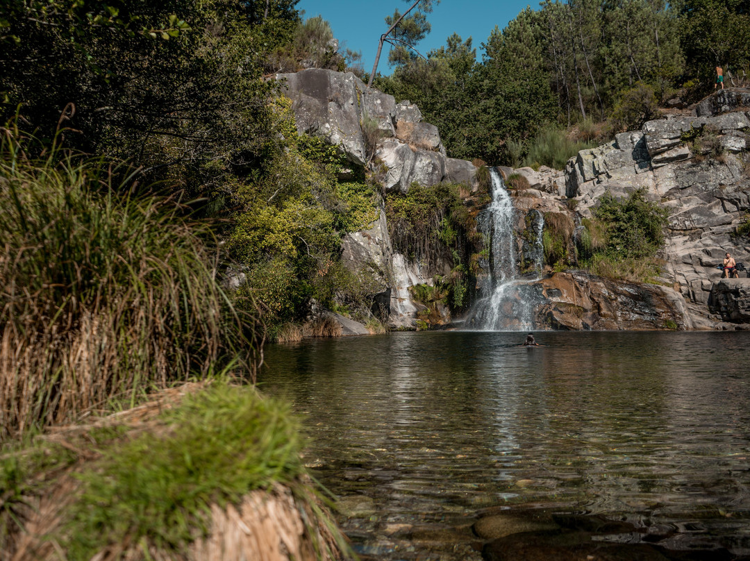Do Tour Aveiro-阿威罗必去景点