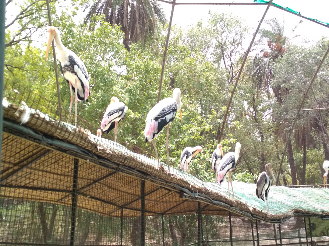 ChhattBir Zoo-Panchkula必去景点