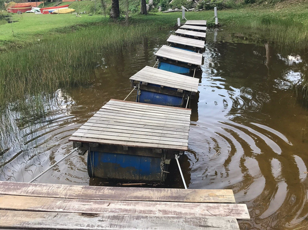 Kota Rainforest Resort主图