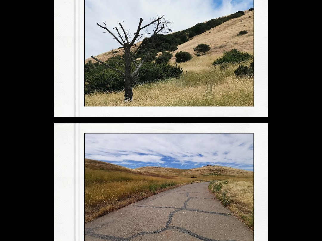 Coyote Hills Regional Park景点图片