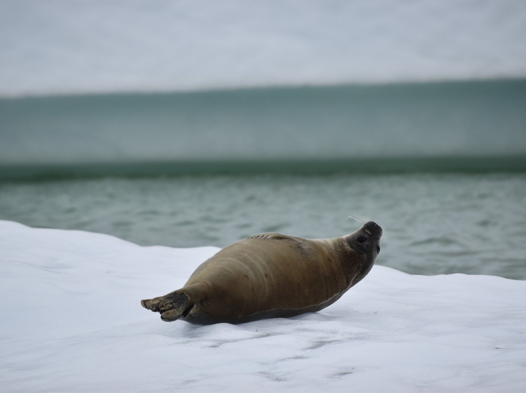 King's Point Boat Tours and Adventures-King's Point必去景点
