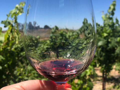 Grapeline Wine Tours, Paso Robles-帕索罗布尔斯必去景点