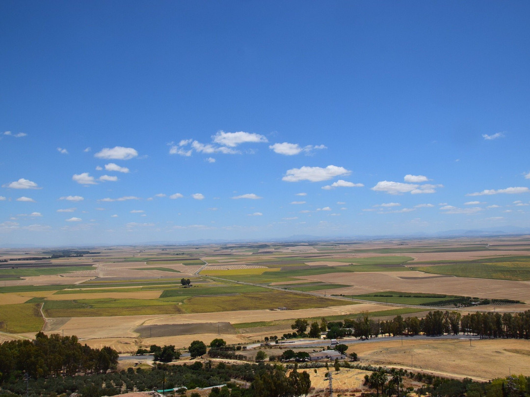 Alcazar de Arriba (Upper Fortress)-卡莫纳必去景点
