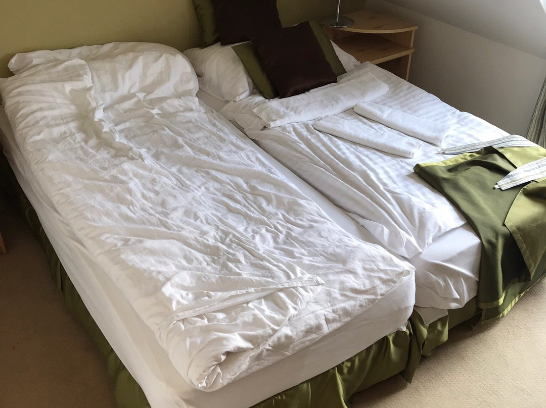 Hotel Bonaparte主图