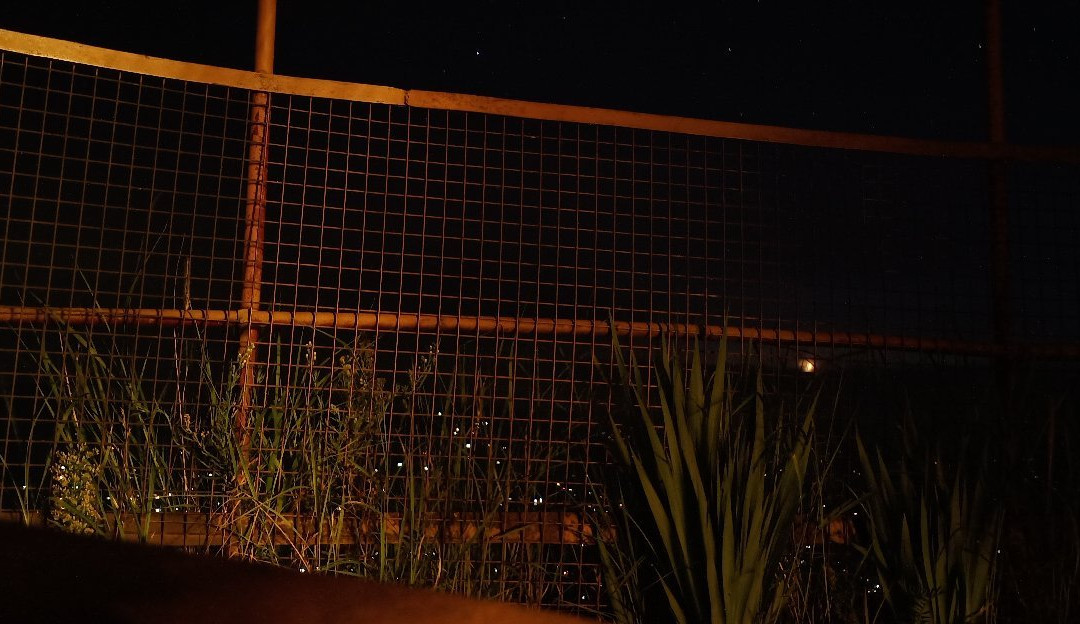 Shree Hari Resorts主图