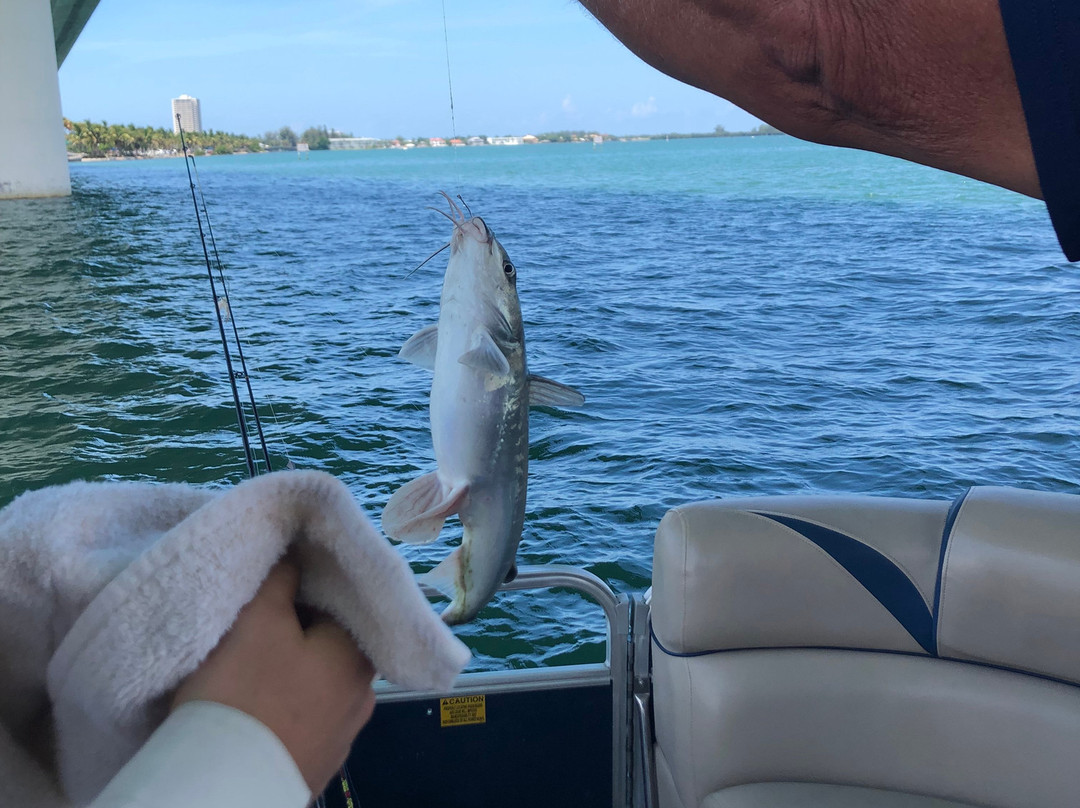 Pirate Monkey Boat Rentals-Palmetto必去景点