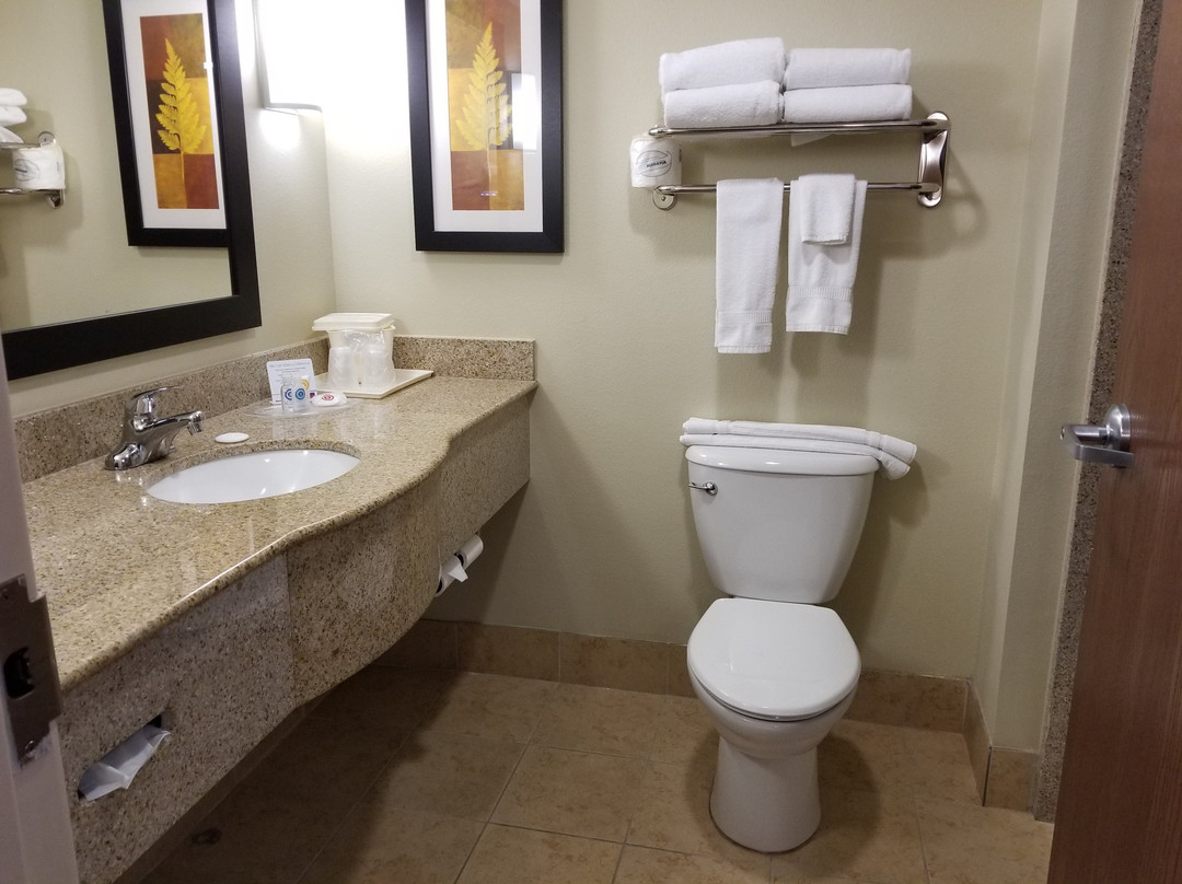 奥兰多机场舒适套房酒店主图