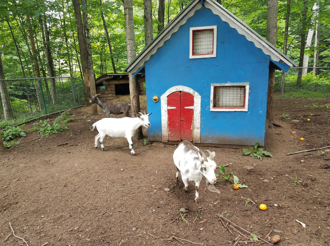 Blackthorne Resort主图