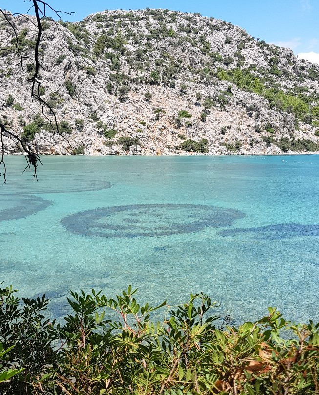 Umut Otel & Beach主图