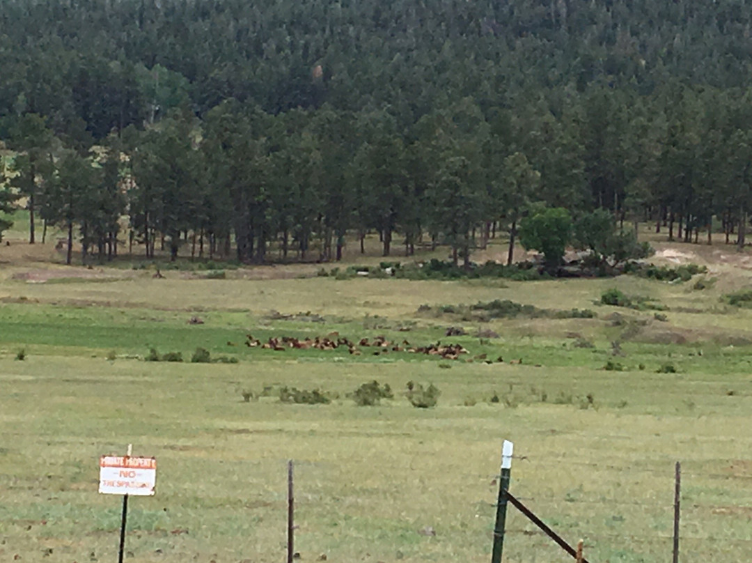 Sportsman Lodge主图