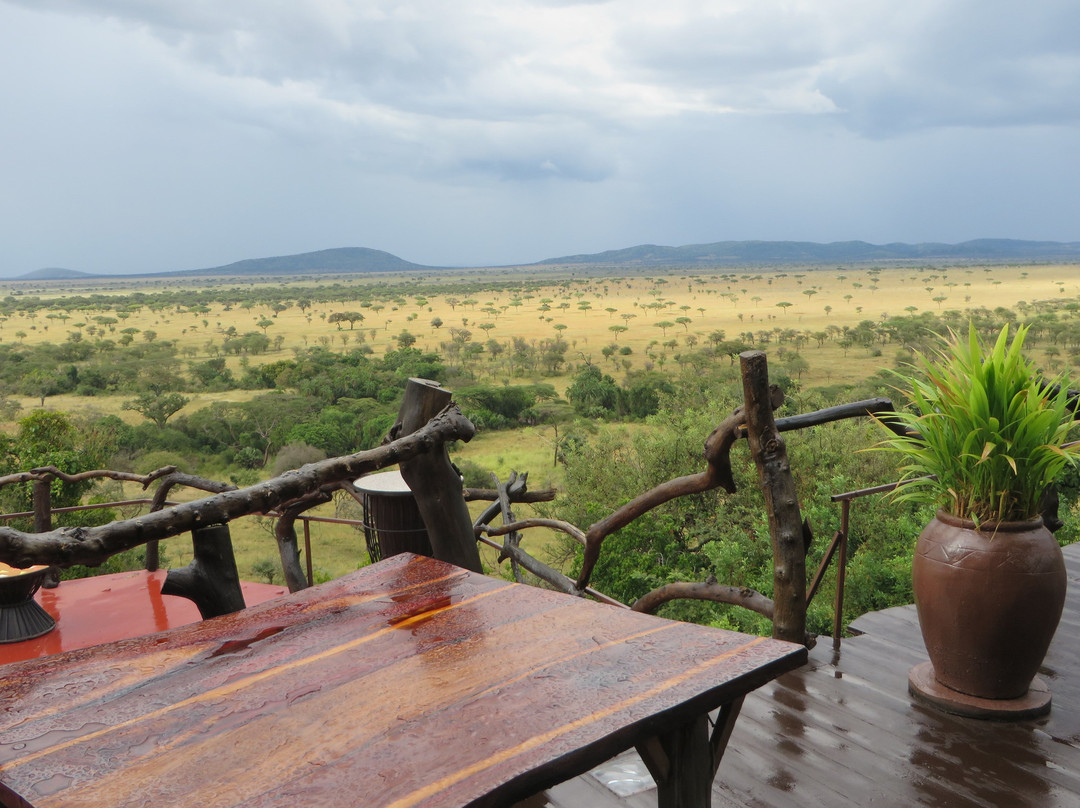 Mbalageti Safari Camp主图