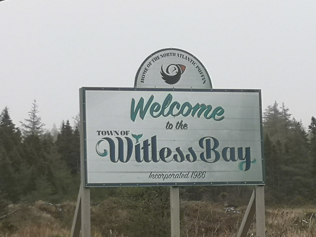 Elaine's Bed and Breakfast By The Sea主图