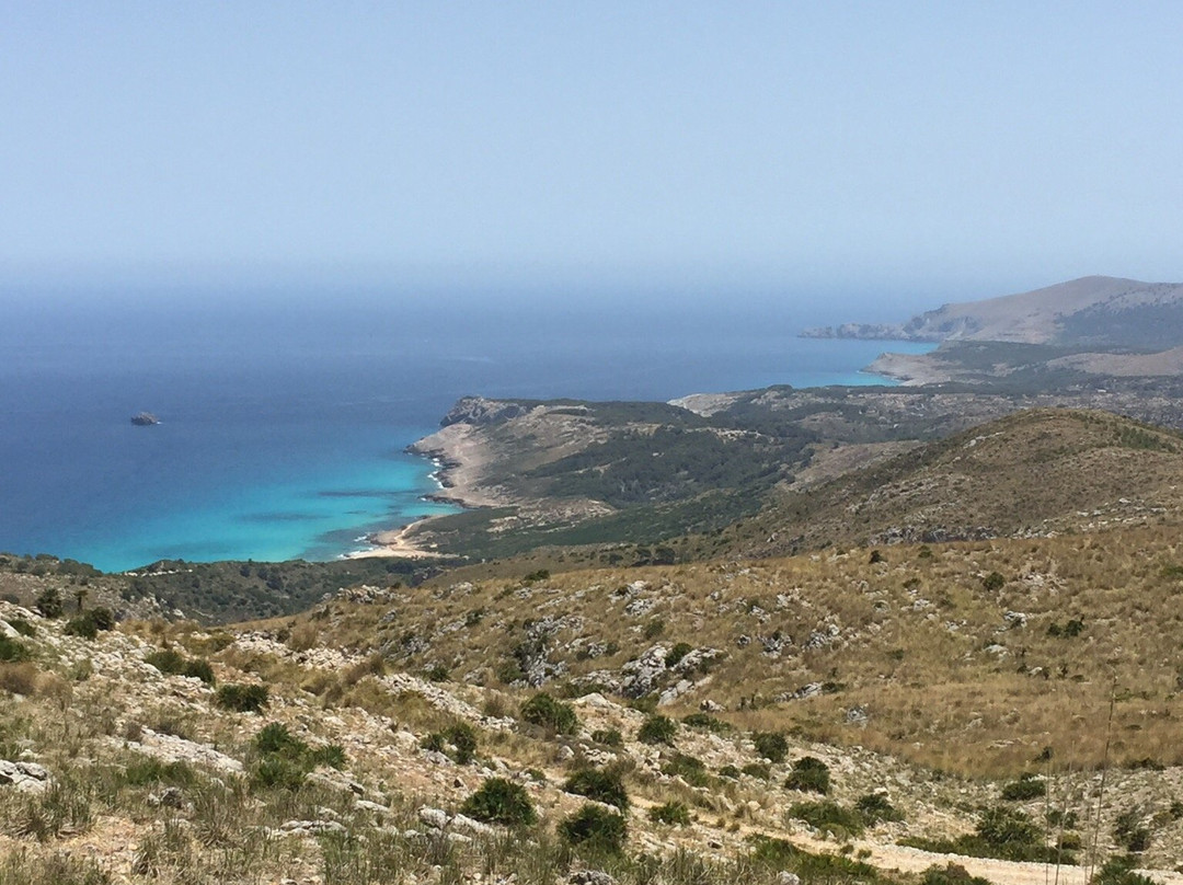 Parc Natural de la Península de Llevant-Arta必去景点
