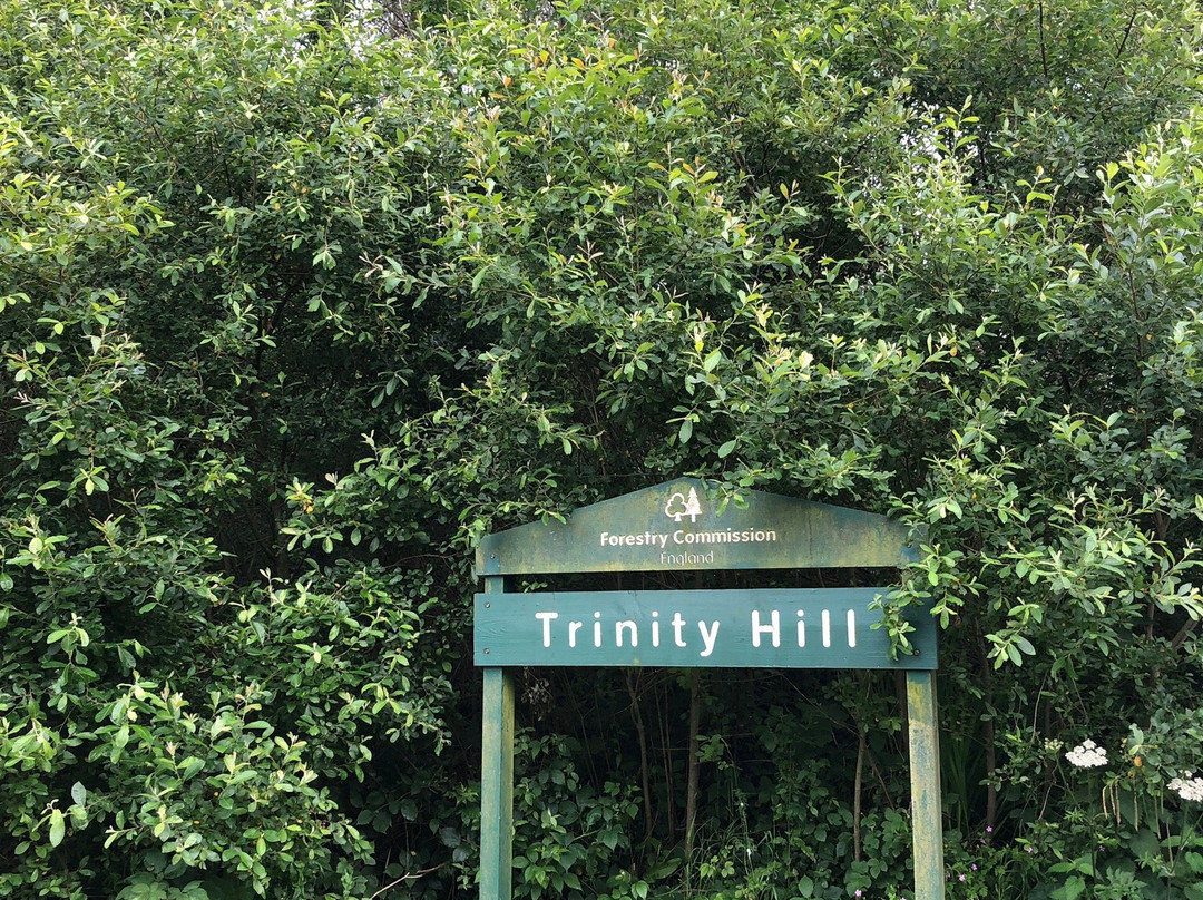 Trinity Hill Local Nature Reserve-Axminster必去景点