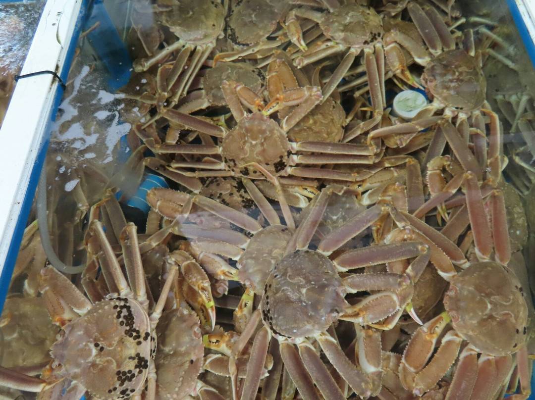 Yeongdeok Crab Village-盈德郡必去景点