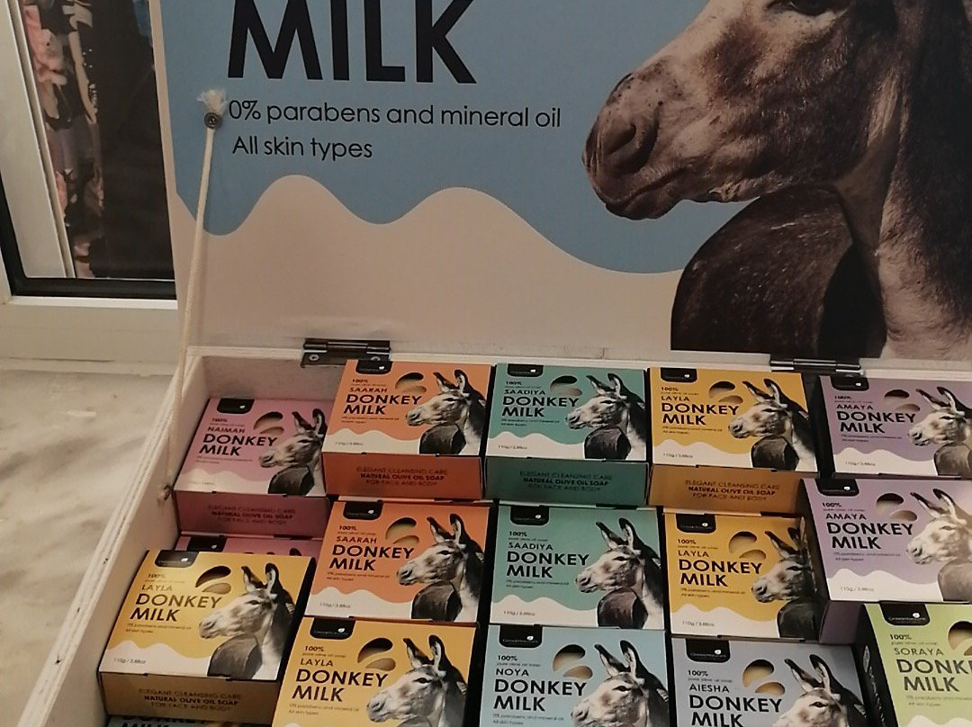 NS - Nikos Shop-Limenaria必去景点