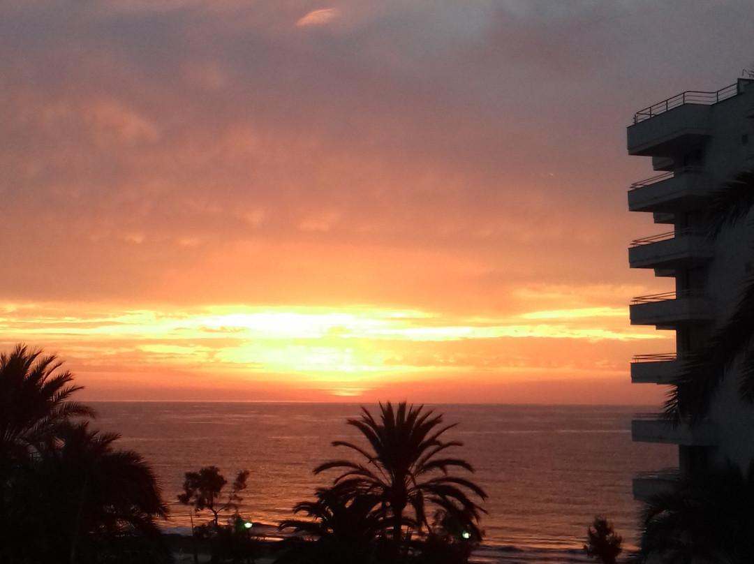 Playa Dorada Aparthotel主图