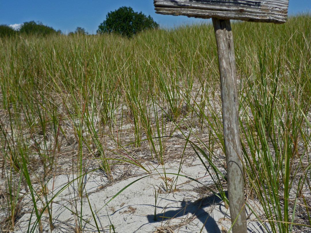 Andrews Beach-Long Island必去景点