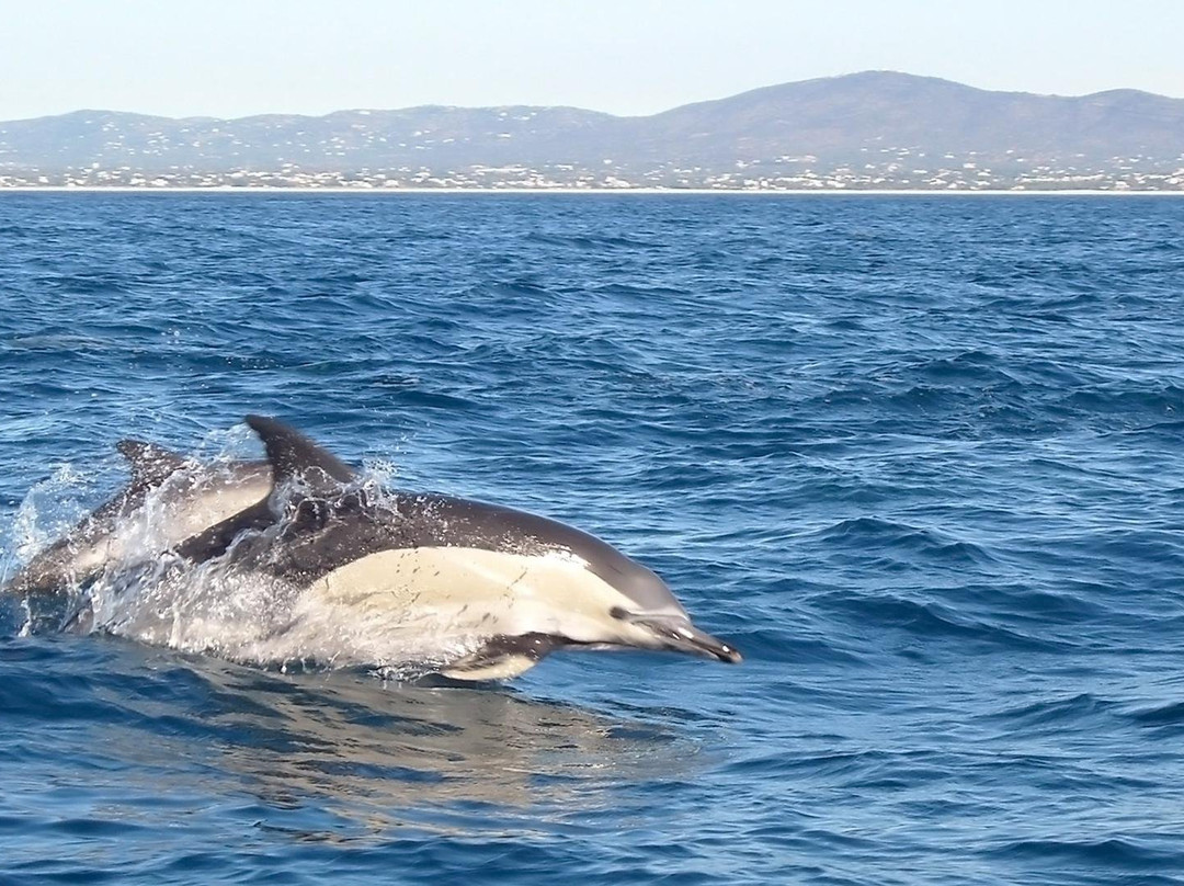 Arrábida Life-塞新布拉必去景点