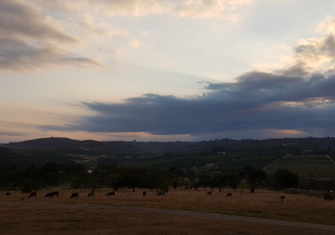 白河命运旅馆主图