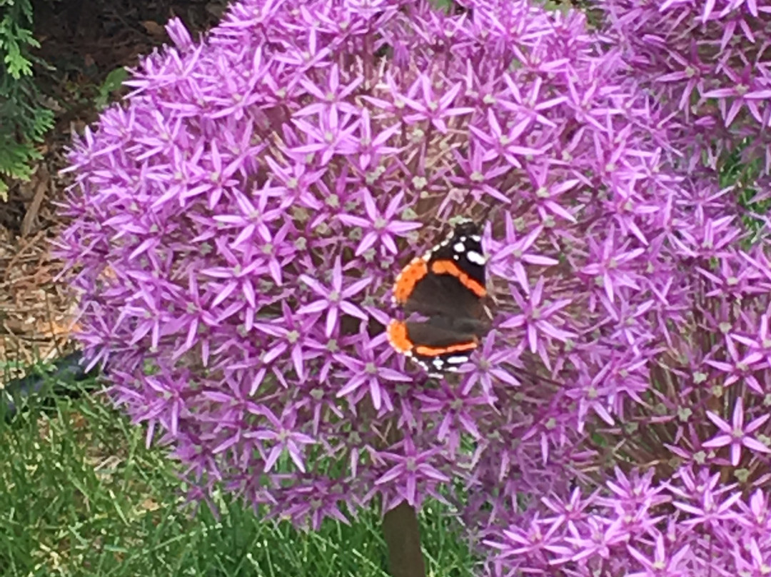 Bird House Inn and Gardens主图