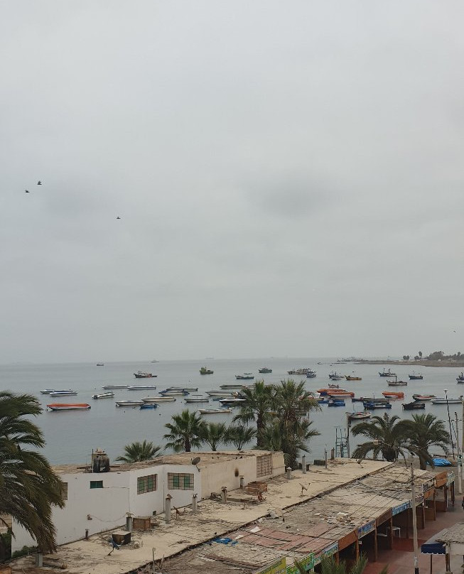 Hotel Gran Palma Paracas主图