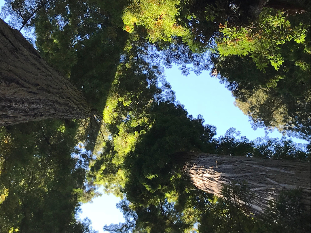 Simpson-Reed Trail景点图片