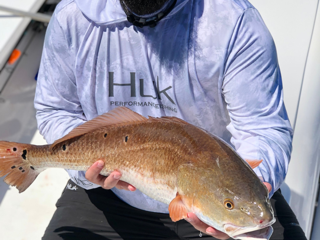 PM3 Fishing Charters景点图片