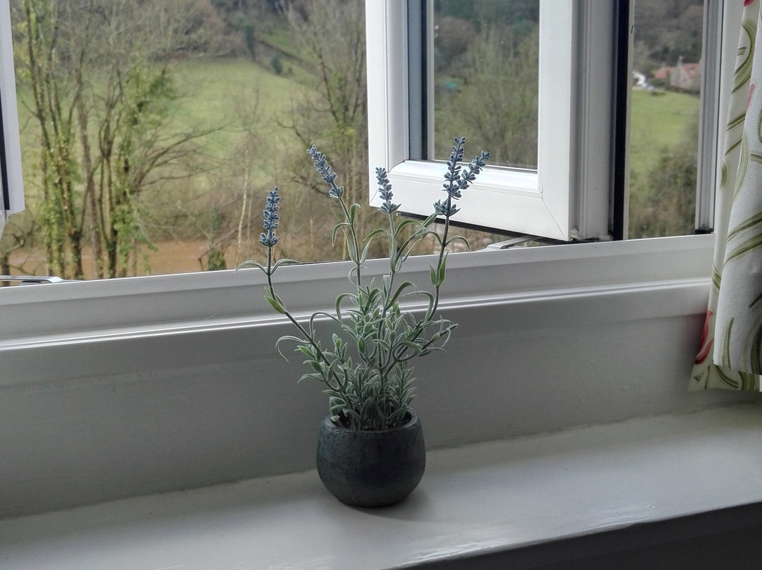 Inglewood House主图