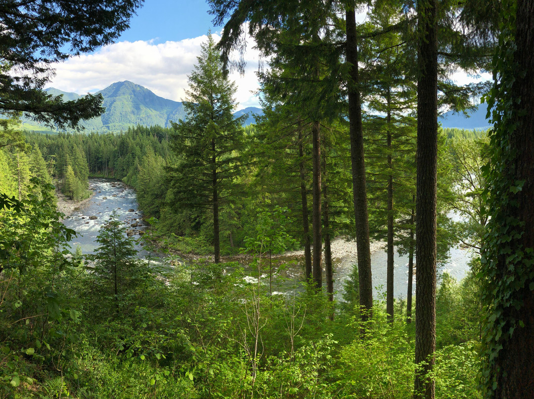 The Roaring River Bed & Breakfast主图