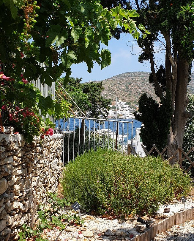 Amorgos Botanical Park景点图片