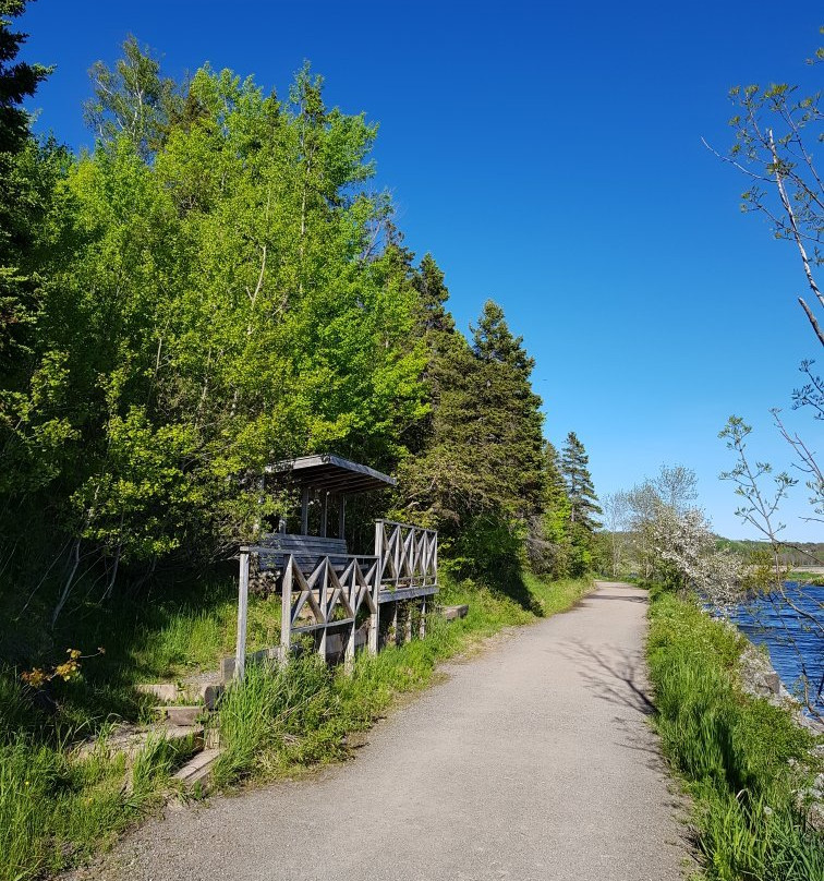 Antigonish Landing Trail-安蒂岗尼希必去景点