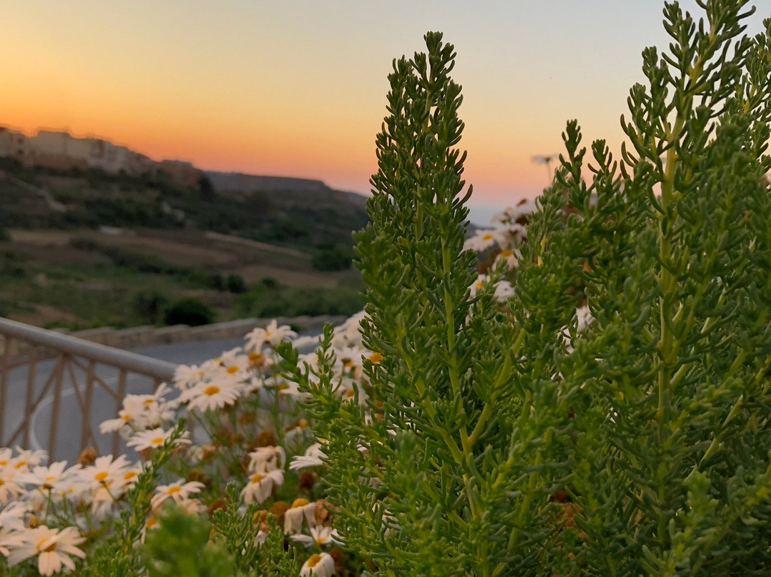 Il-Logga Boutique Hotel & Restaurant主图