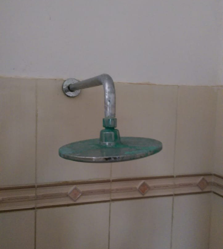 Morning Star Diani主图