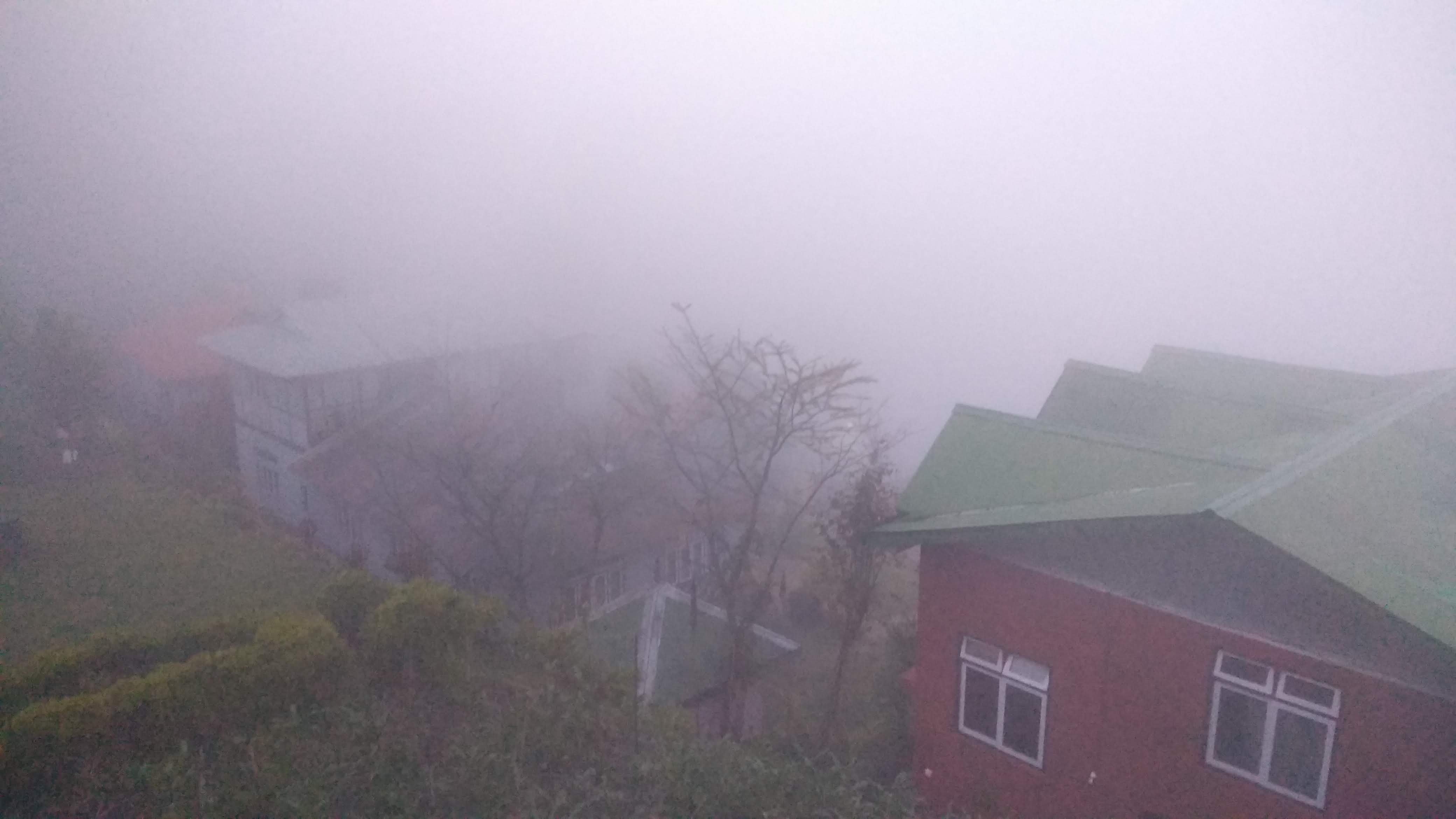 Dhungay Homestay-酒店景观