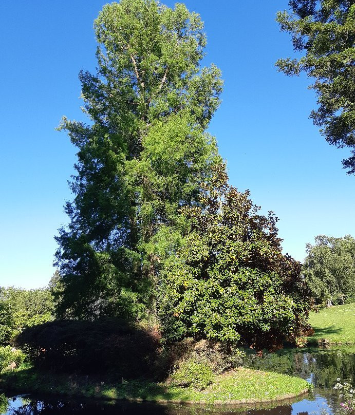 Parc de la Beaujoire景点图片