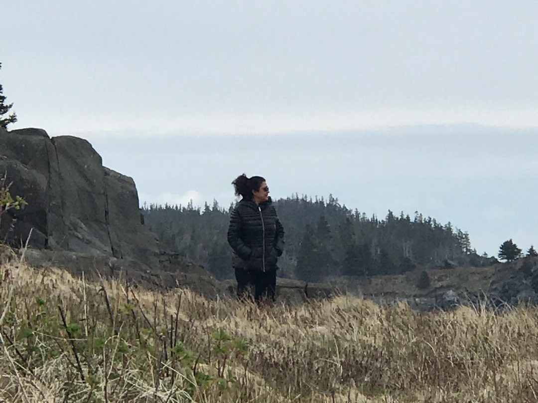 Elsa's Inn On The Harbor主图