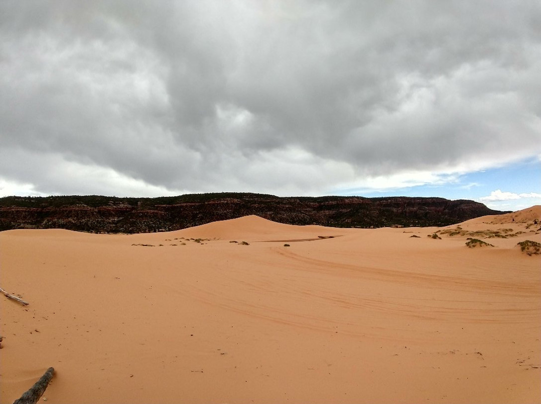 Coral Pink Sand Dunes State Park景点图片