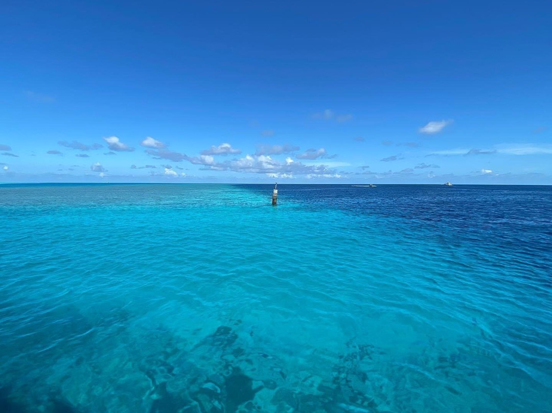 Surf Yoga Maldives