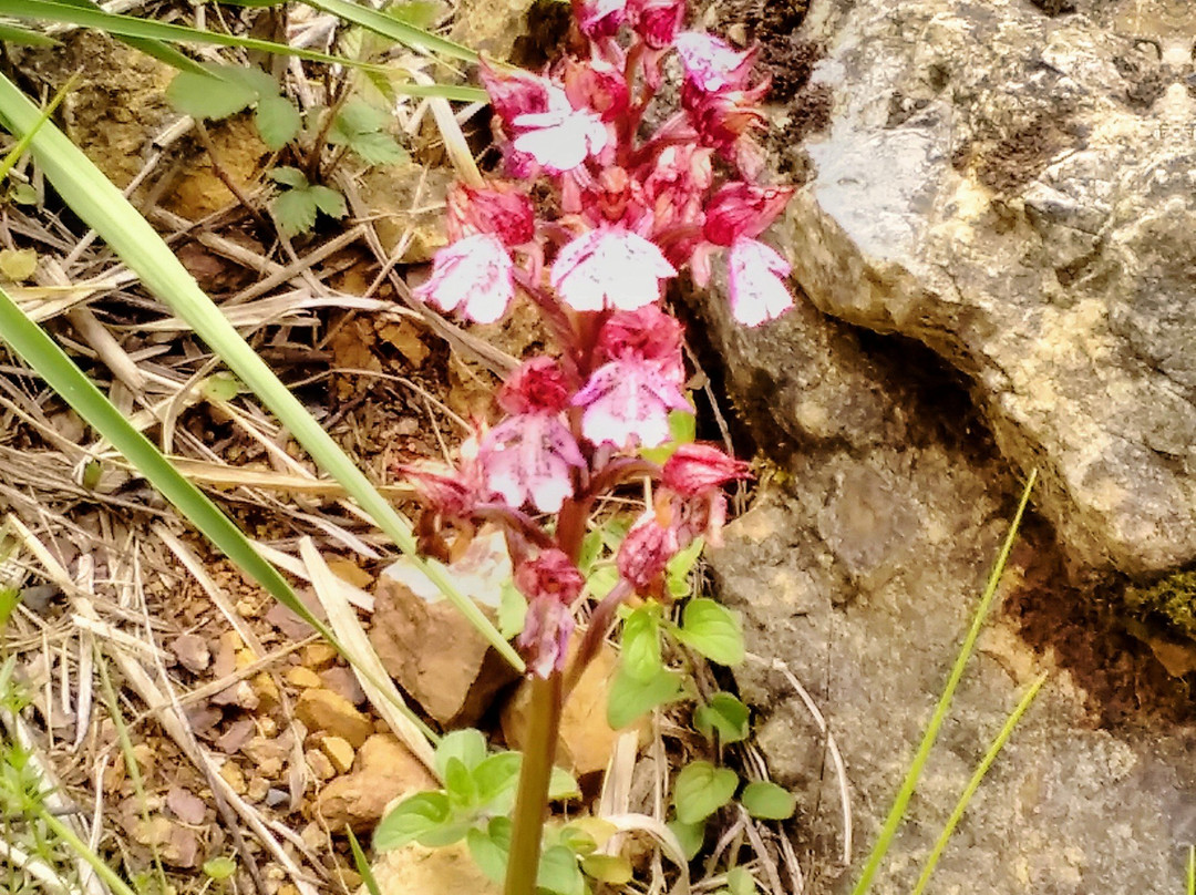 Gorges de Pereille-Roquefixade必去景点