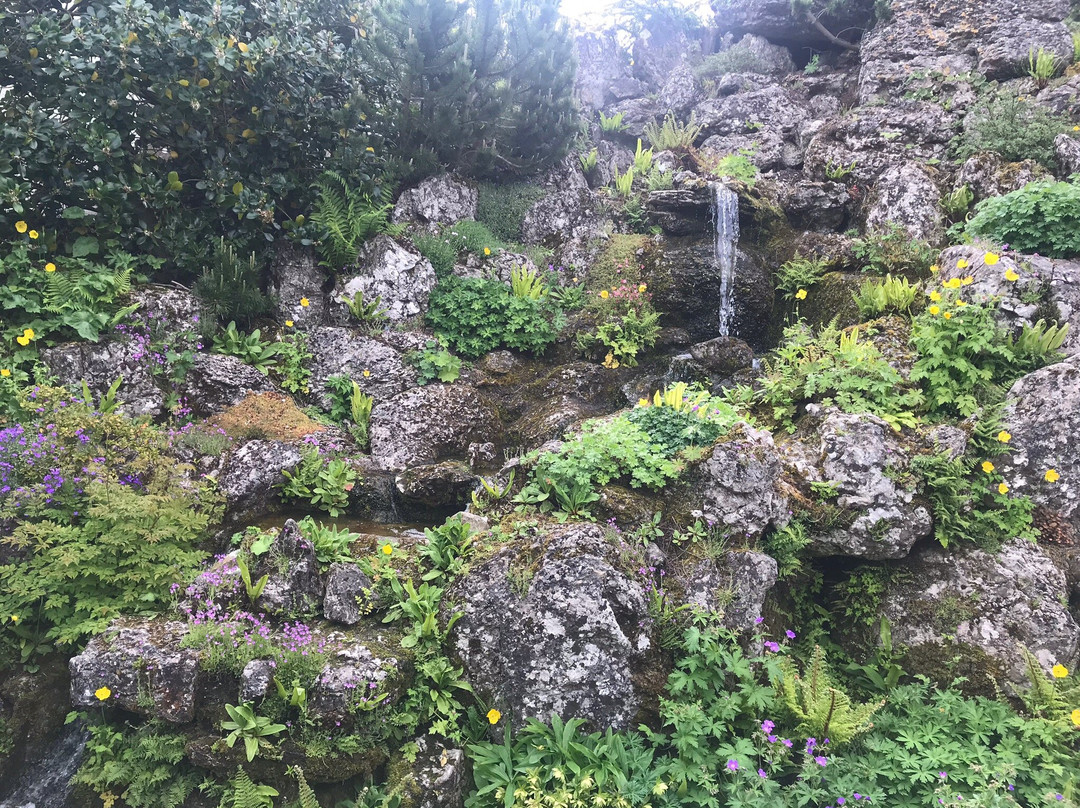 Aysgarth Edwardian Rock Garden景点图片
