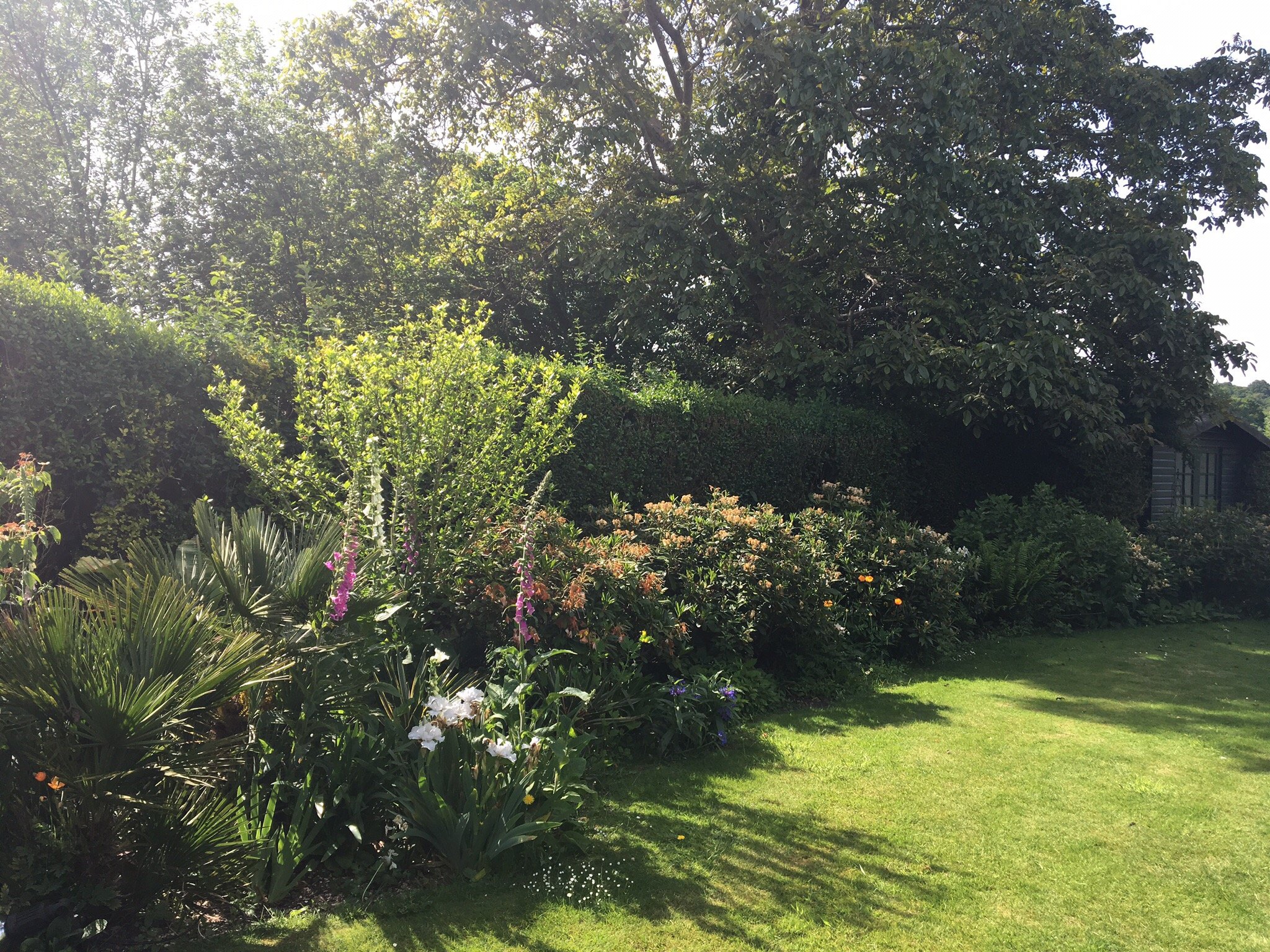 The Cranleigh Hotel-官方