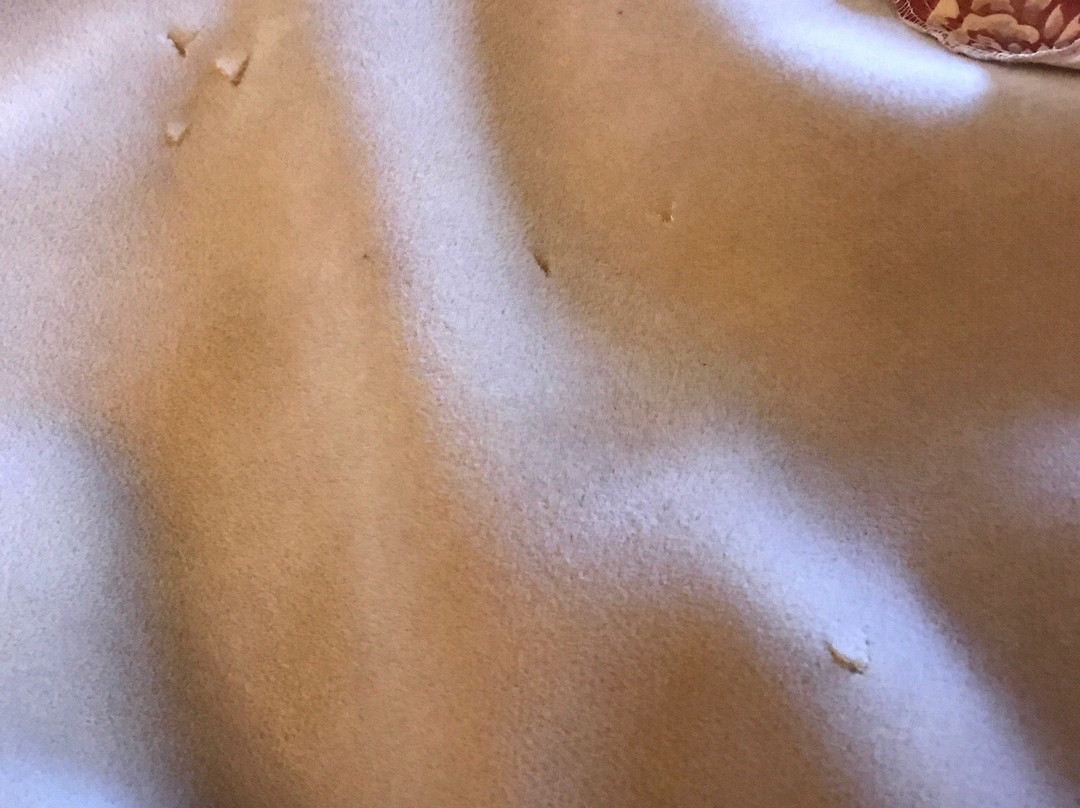 Acorn Motor Inn主图