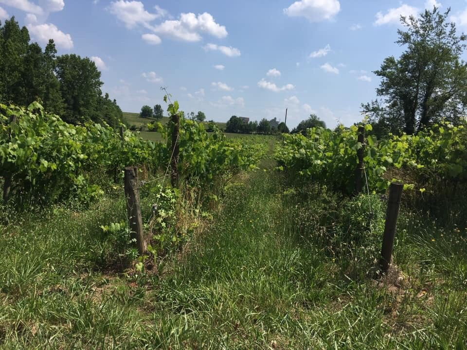 Boutier Winery & Inn-Danielsville必去景点