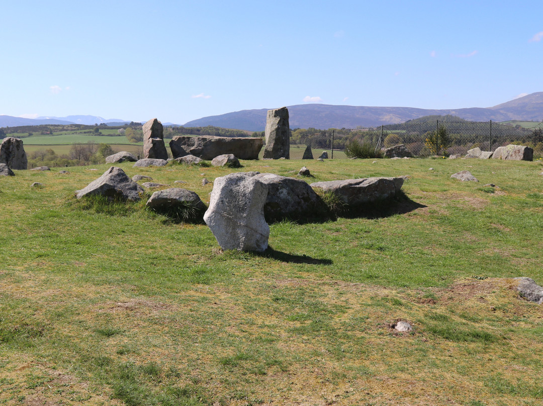 Tomnaverie Stone Circle景点图片