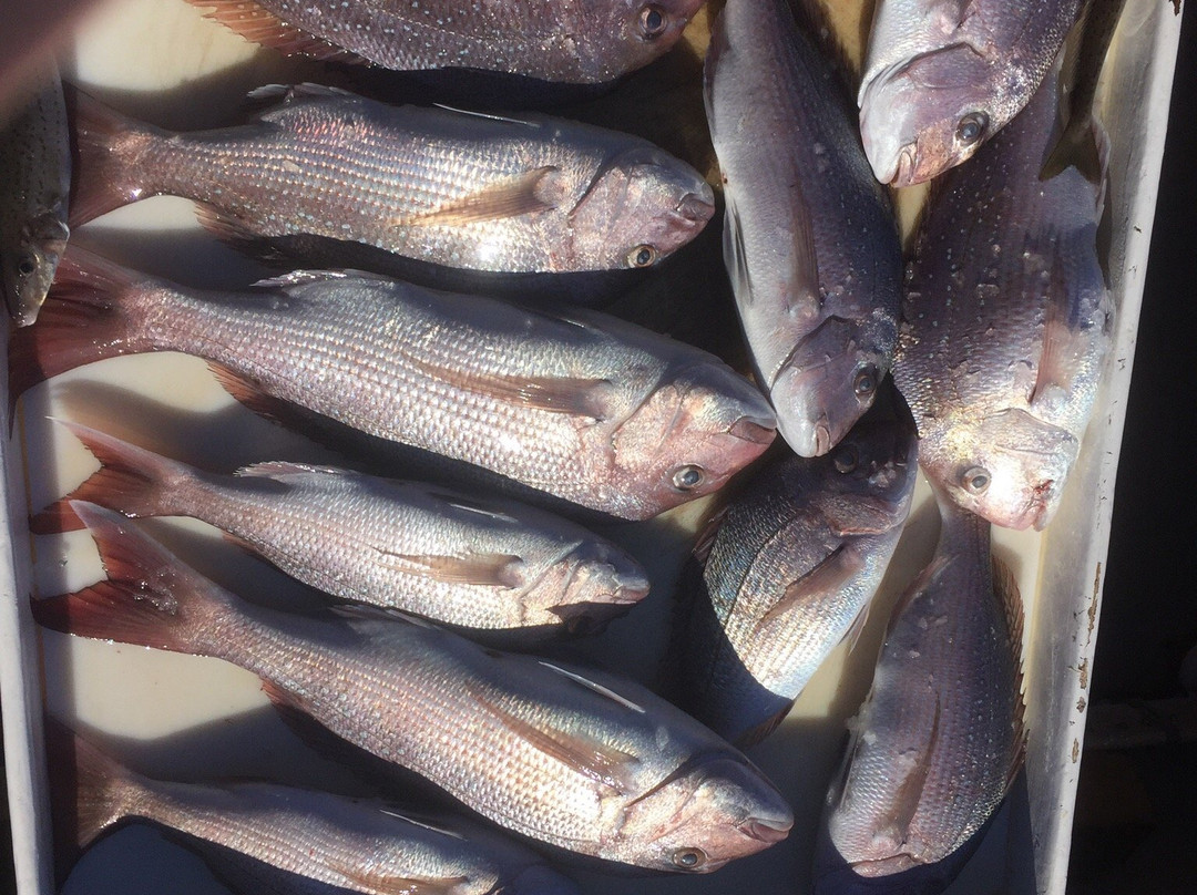 Double Header Fishing Charters-Port Broughton必去景点